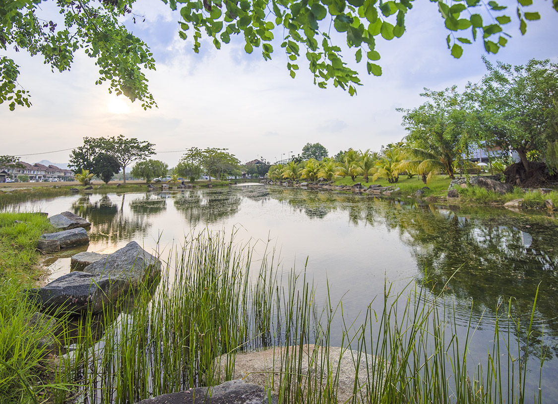 俱乐部池景